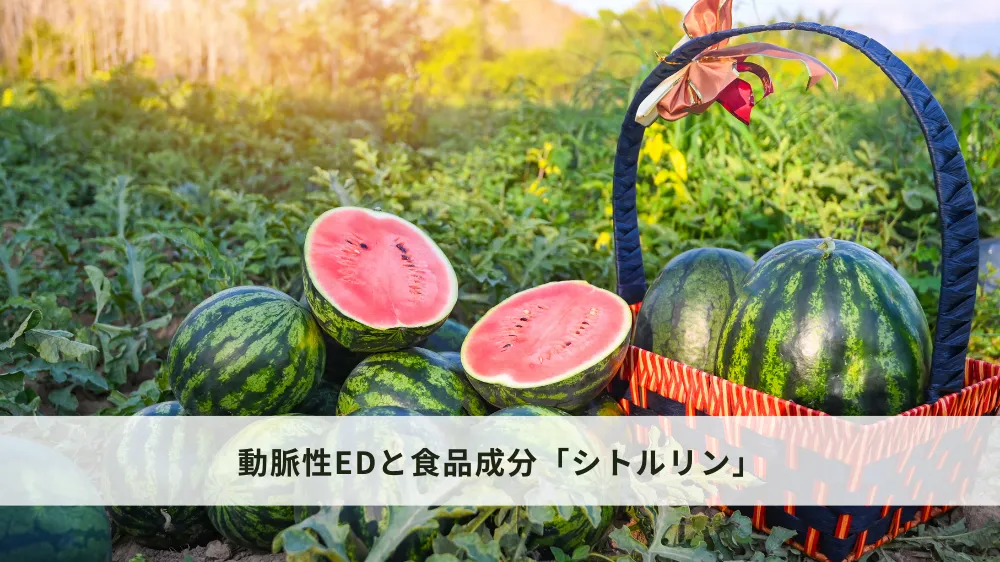 動脈性EDと食品成分シトルリン