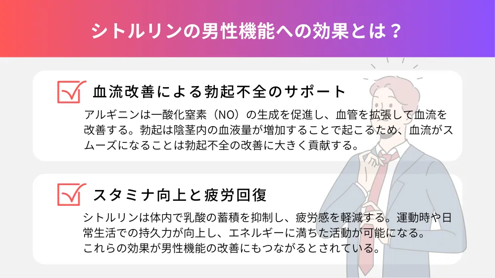 シトルリンの男性機能への効果とは？