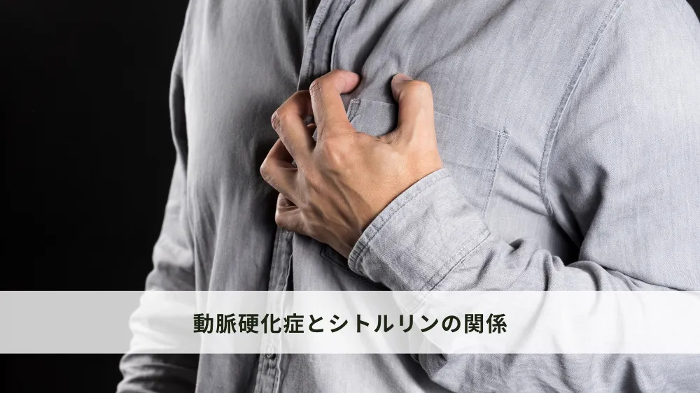 動脈硬化症とシトルリンの関係