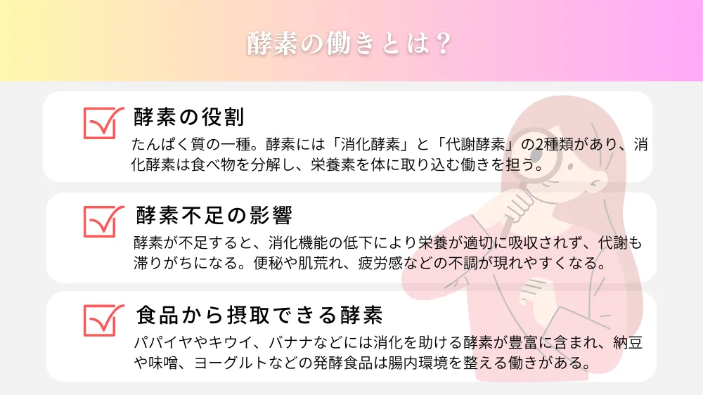 酵素の働きとは？