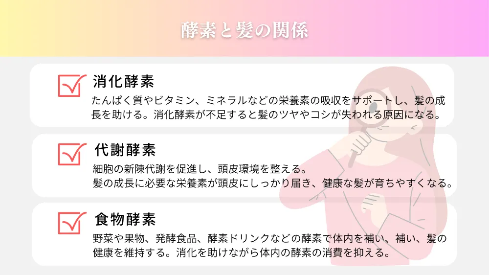 酵素と髪の関係