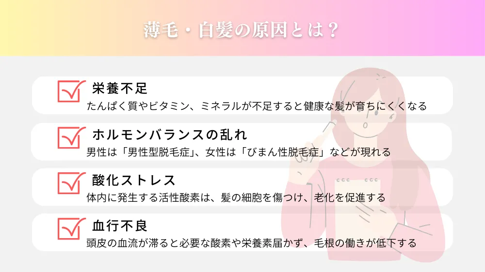 髪のお悩みの原因とは？