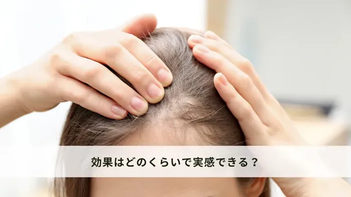 よくある質問(Q&A)