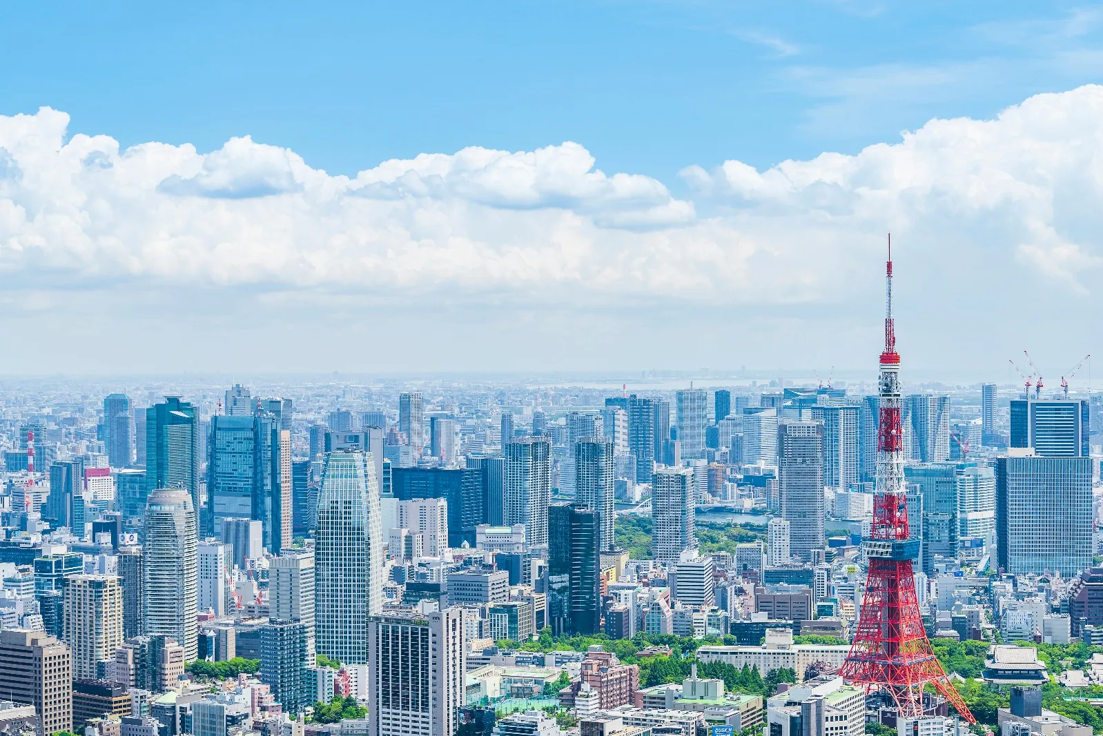 結論：持続可能な地域包括ケアシステムの構築に向けて