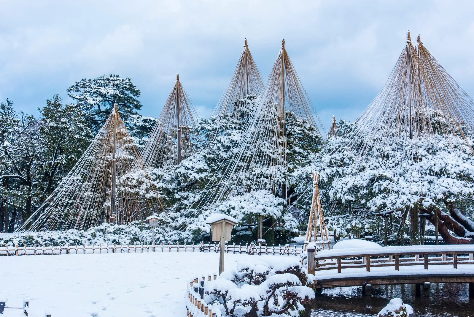 兼六園の雪吊り