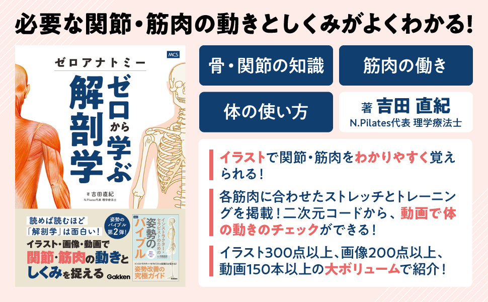 【イラスト・写真・動画で完全網羅】関節と筋肉の働きがわかる！　筋トレ＆ストレッチで実践しながら身につける『ゼロアナトミー　ゼロから学ぶ解剖学』発売