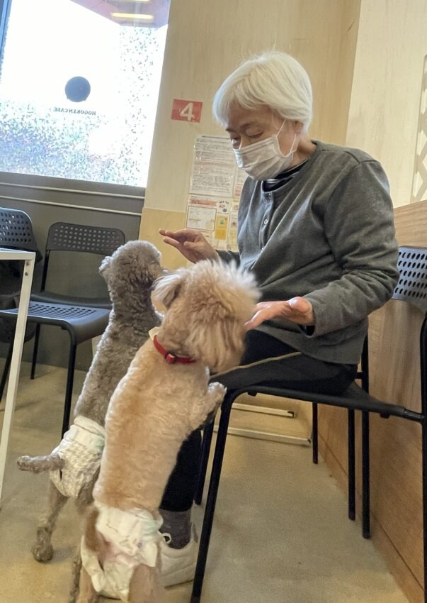 印西にある保護犬カフェに行ってまいりました